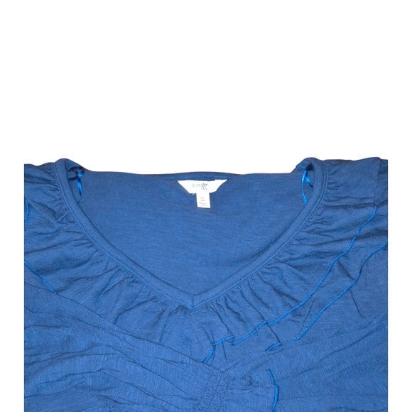 Blue Ruffled V-Neck Top - Picture 4 of 4